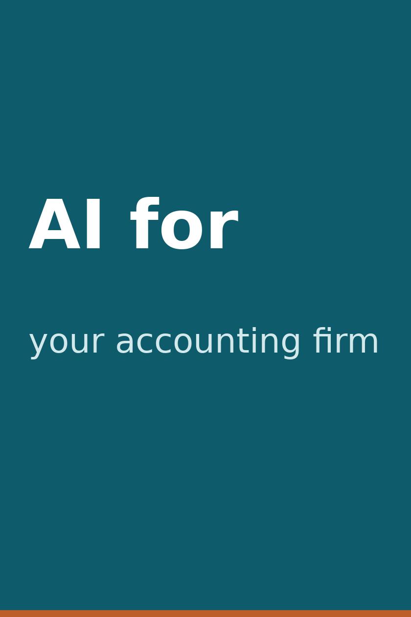 Accountant reviewing financial statements with a small-business client